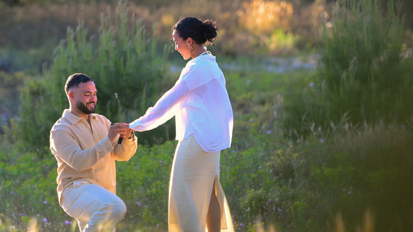 Proposal